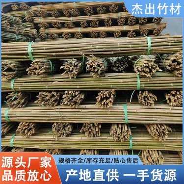 番茄架與勾花網 菜園里的黃金搭檔