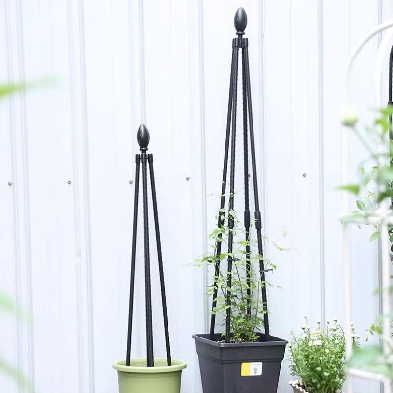 庭院綠意新篇章 巧用支架打造立體園藝空間